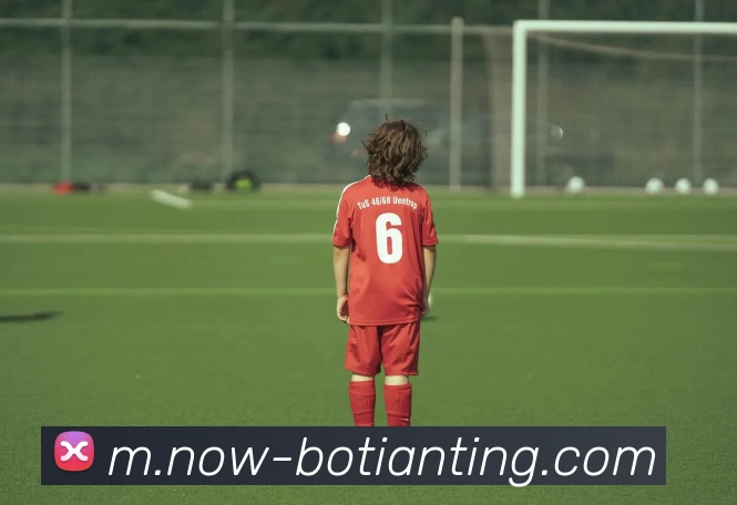 博天堂平台生态图